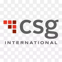 CSG国际公司组织业务服务