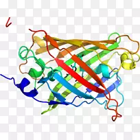 线点生物剪贴画线