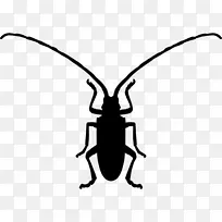 长角甲虫电脑图标符号亚洲女甲虫-甲虫