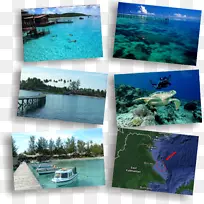 德拉湾群岛，水资源，生态系统，海洋休闲-海洋