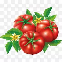 李子番茄灌木丛番茄派平底锅蔬菜-番茄