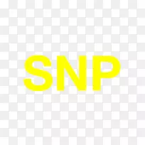 商标字体-SNP