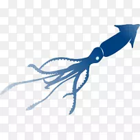 海洋无脊椎动物尾线剪贴画-深海蜻蜓