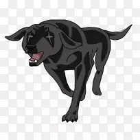 拉布拉多猎犬一种传说野草画小狗品种-金加传说野草