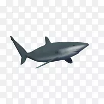 大白鲨海洋画夹艺术-鲨鱼