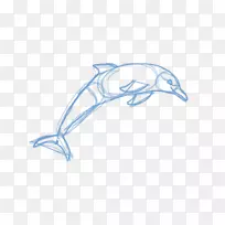 海豚素描-海豚