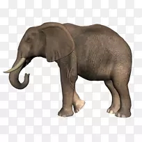 非洲灌木丛象非洲森林象剪贴画-大象