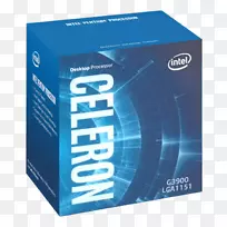 英特尔核心Celeron中央处理单元lga 1151-英特尔