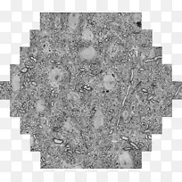 元素周期表化学像素艺术科学