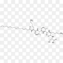 棕榈酰五肽-4黑白角-乙酰六肽3