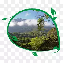 坦桑尼亚：旅游指南ol Doinyo Lengai山乞力马扎罗桌面壁纸山-山