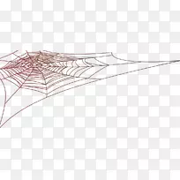 生物分子蛋白质生物学文章-卡通蜘蛛网图片