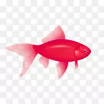 红鱼剪贴画-鱼