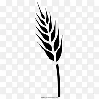 绘制小黑麦粮食着色书谷物-小麦