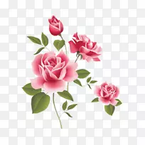 玫瑰粉红桌面壁纸夹艺术-玫瑰