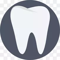 人类牙齿、口腔、磨牙-健康