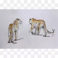 猎豹大猫陆生动物猎豹