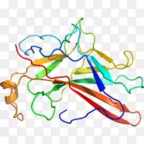 线点生物剪贴画线