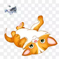 小猫连体猫泰国猫科剪贴画-小猫