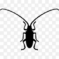 甲虫计算机图标符号形状甲虫