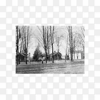 沃辛顿历史学会步行游览胡桃园西新英格兰大道摄影-c射线