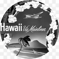 夏威夷瓦胡岛航班联合航空公司-飞机
