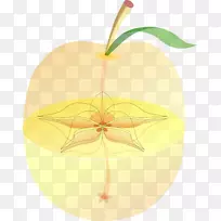 苹果食品水果剪贴画-苹果