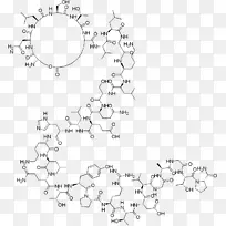 降钙素ATC编码h05