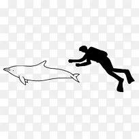 南亚河海豚旋转海豚图库溪太平洋白底海豚