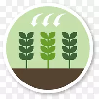 农业肥料叶喂计算机图标-一起生长