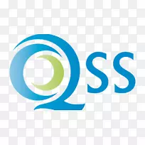 结构工程qss安全产品(S)pte有限公司标志-愤世嫉俗解决方案pte有限公司