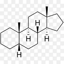 四氢皮质醇脱氢表雄酮研究类固醇内分泌疾病