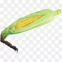 玉米上的玉米芯甜玉米剪辑艺术-豆荚玉米