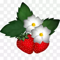 草莓阿莫罗多-草莓