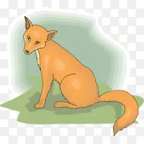 红狐狗皮毛狗