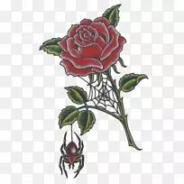 花园玫瑰花卉设计视觉艺术-玫瑰