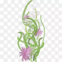 藤花设计剪贴画海藻植物