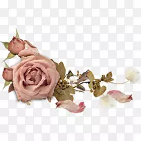 切花玫瑰桌面壁纸花卉设计
