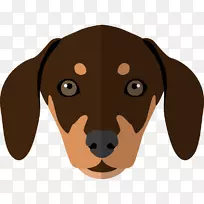 达克斯犬培育巴赛特犬中亚牧羊犬-小狗