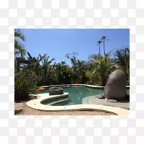 游泳池、槟榔科度假区水特色景观-水