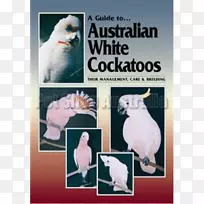 澳大利亚白鹦鹉指南：它们的管理、照顾和繁殖