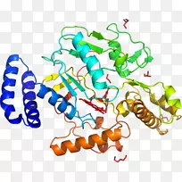 线点生物剪贴画线