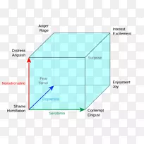 情绪分类的L vheim立方体神经递质神经科学-三维立方体