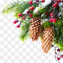 1月基辅0新年假期-创意圣诞树树枝