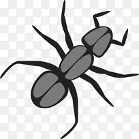 蚂蚁昆虫动画剪贴画-昆虫