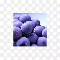 桌面壁纸高灌木蓝莓显示屏分辨率高清视频蓝莓