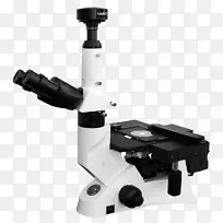 光学显微镜金相立体显微镜亮场显微镜