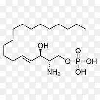 结构分子结构化学式氨基酸1-丙醇