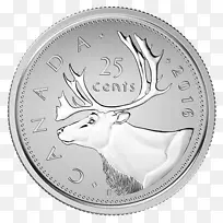 加拿大驯鹿硬币冻原天鹅-驯鹿