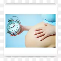 分娩、妊娠、估计分娩日期-妊娠